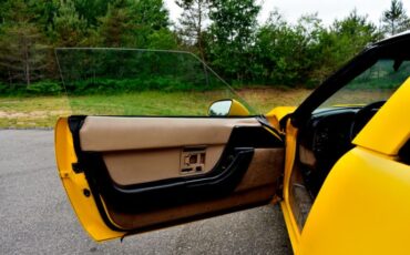 Chevrolet-Corvette-1993-Yellow-Black-38