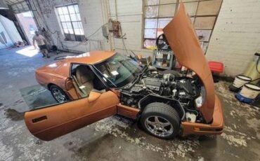 Chevrolet-Corvette-1994-Copper-Metallic-16