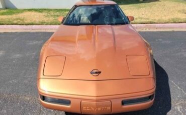 Chevrolet-Corvette-1994-Copper-Metallic-2