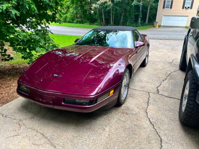 Chevrolet-Corvette-1995-Dark-Purple-Metallic-Black-14