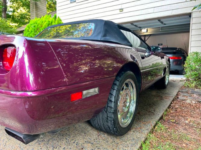 Chevrolet-Corvette-1995-Dark-Purple-Metallic-Black-20
