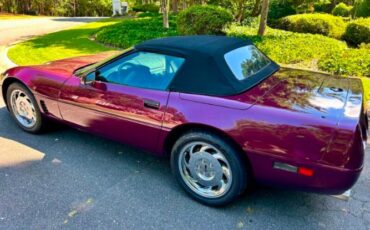 Chevrolet-Corvette-1995-Dark-Purple-Metallic-Black-5