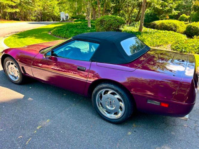 Chevrolet-Corvette-1995-Dark-Purple-Metallic-Black-5