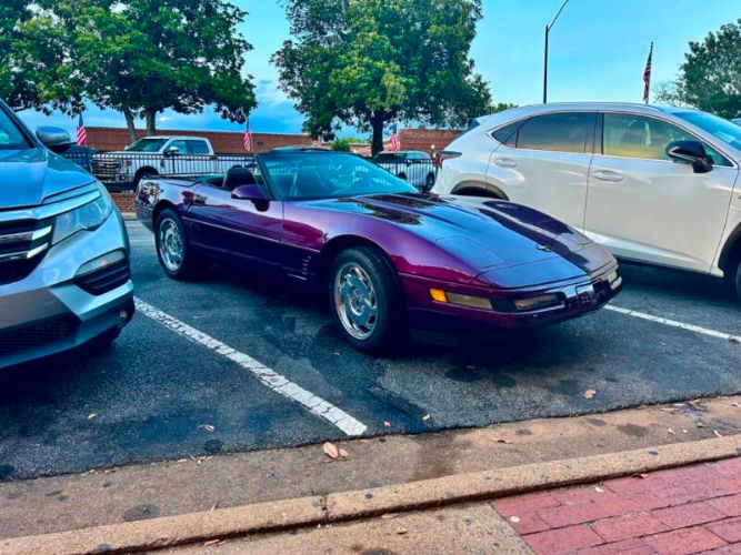 Chevrolet-Corvette-1995-Dark-Purple-Metallic-Black-8