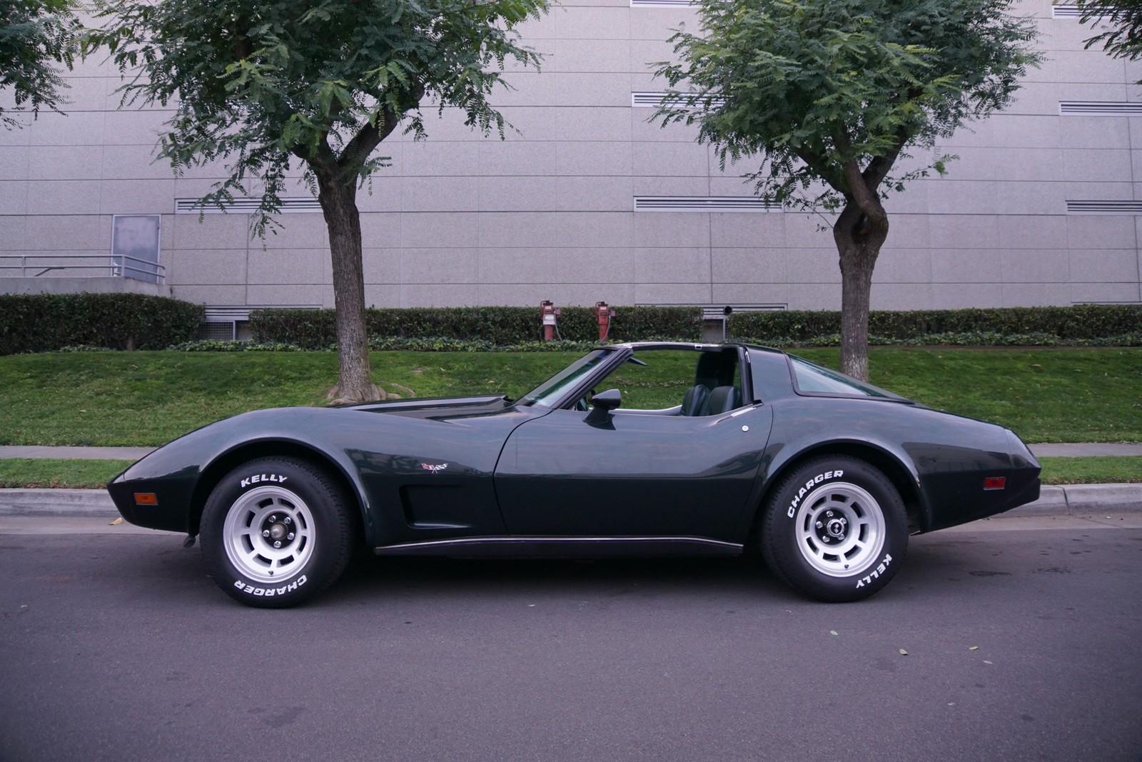 Chevrolet-Corvette-350-V8-Coupe-1979-1