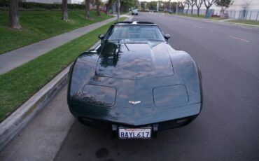 Chevrolet-Corvette-350-V8-Coupe-1979-10