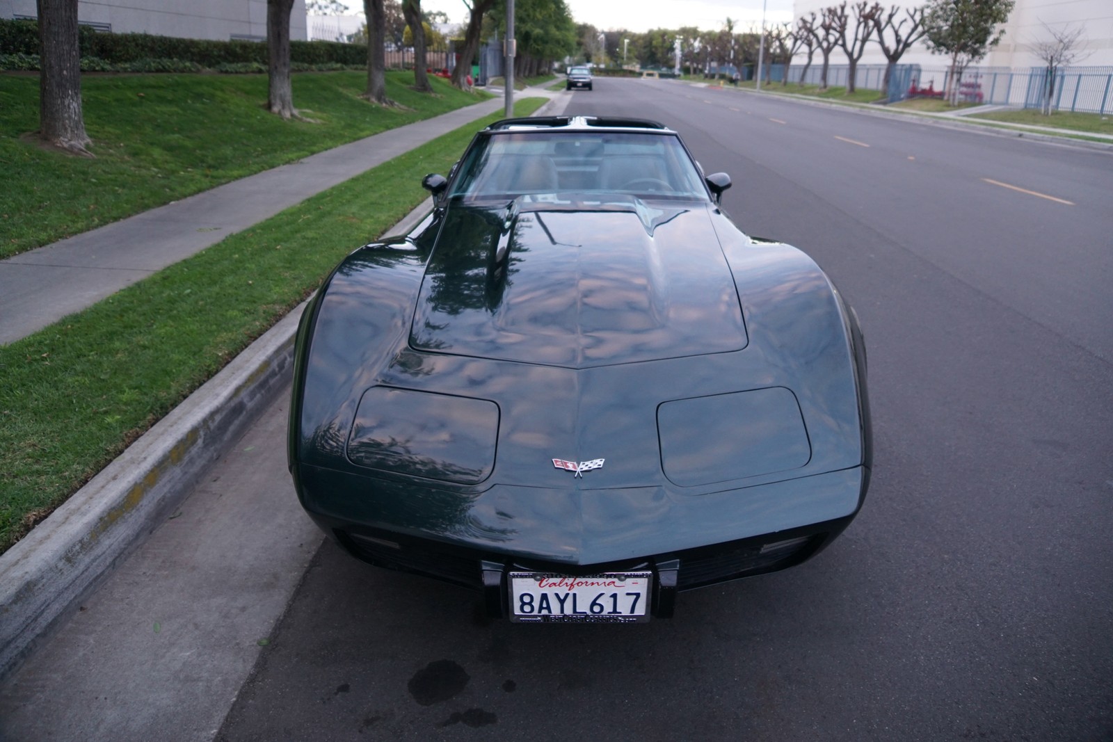 Chevrolet-Corvette-350-V8-Coupe-1979-10