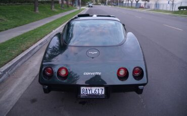 Chevrolet-Corvette-350-V8-Coupe-1979-11