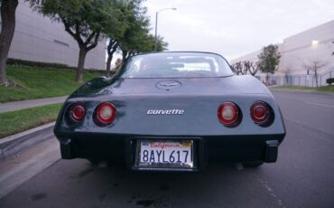 Chevrolet-Corvette-350-V8-Coupe-1979-12