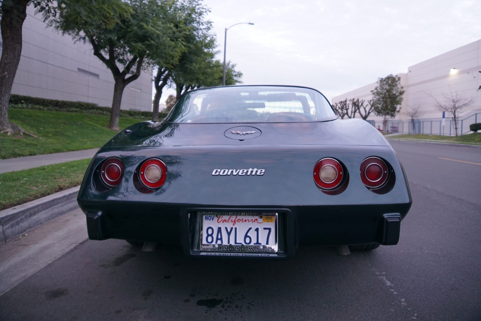 Chevrolet-Corvette-350-V8-Coupe-1979-12