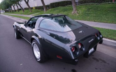 Chevrolet-Corvette-350-V8-Coupe-1979-13