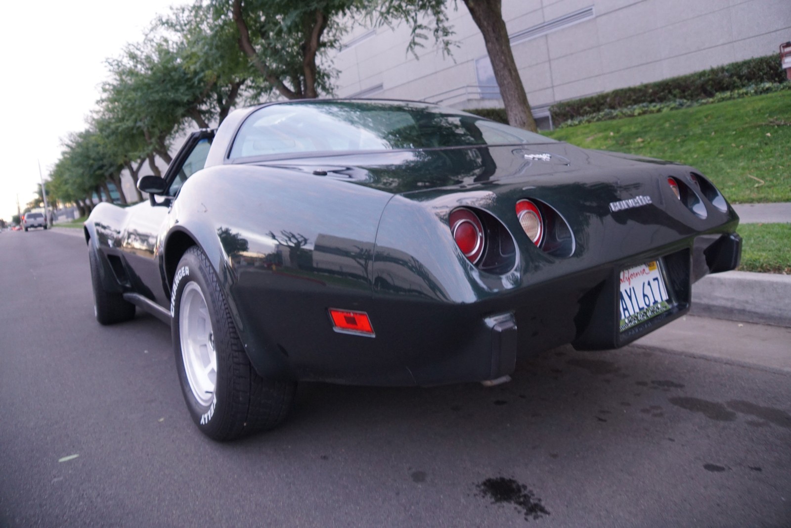 Chevrolet-Corvette-350-V8-Coupe-1979-14