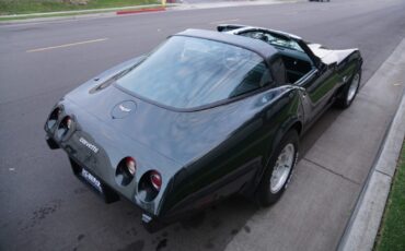 Chevrolet-Corvette-350-V8-Coupe-1979-16