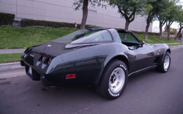 Chevrolet-Corvette-350-V8-Coupe-1979-17
