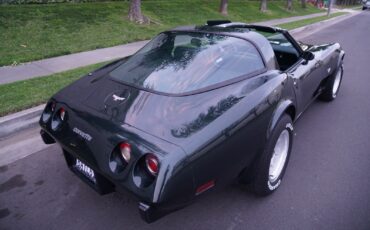 Chevrolet-Corvette-350-V8-Coupe-1979-18