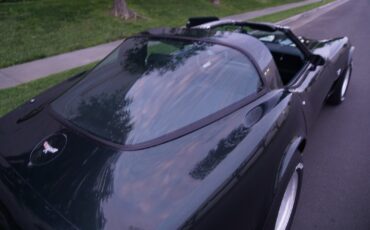 Chevrolet-Corvette-350-V8-Coupe-1979-19