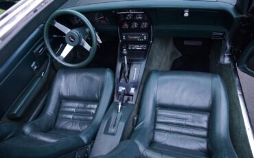 Chevrolet-Corvette-350-V8-Coupe-1979-27