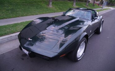 Chevrolet-Corvette-350-V8-Coupe-1979-3