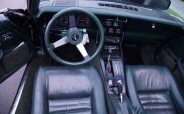 Chevrolet-Corvette-350-V8-Coupe-1979-31