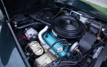 Chevrolet-Corvette-350-V8-Coupe-1979-34