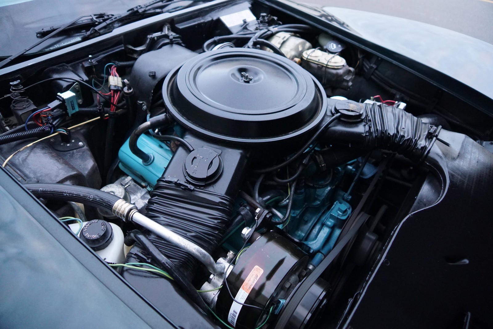 Chevrolet-Corvette-350-V8-Coupe-1979-39
