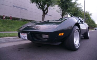 Chevrolet-Corvette-350-V8-Coupe-1979-4