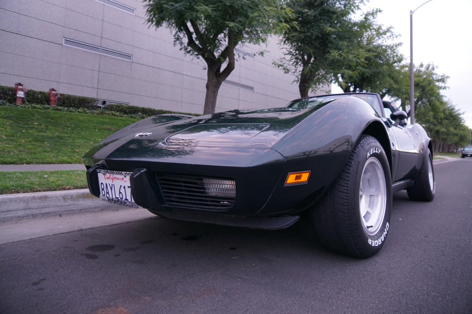 Chevrolet-Corvette-350-V8-Coupe-1979-4