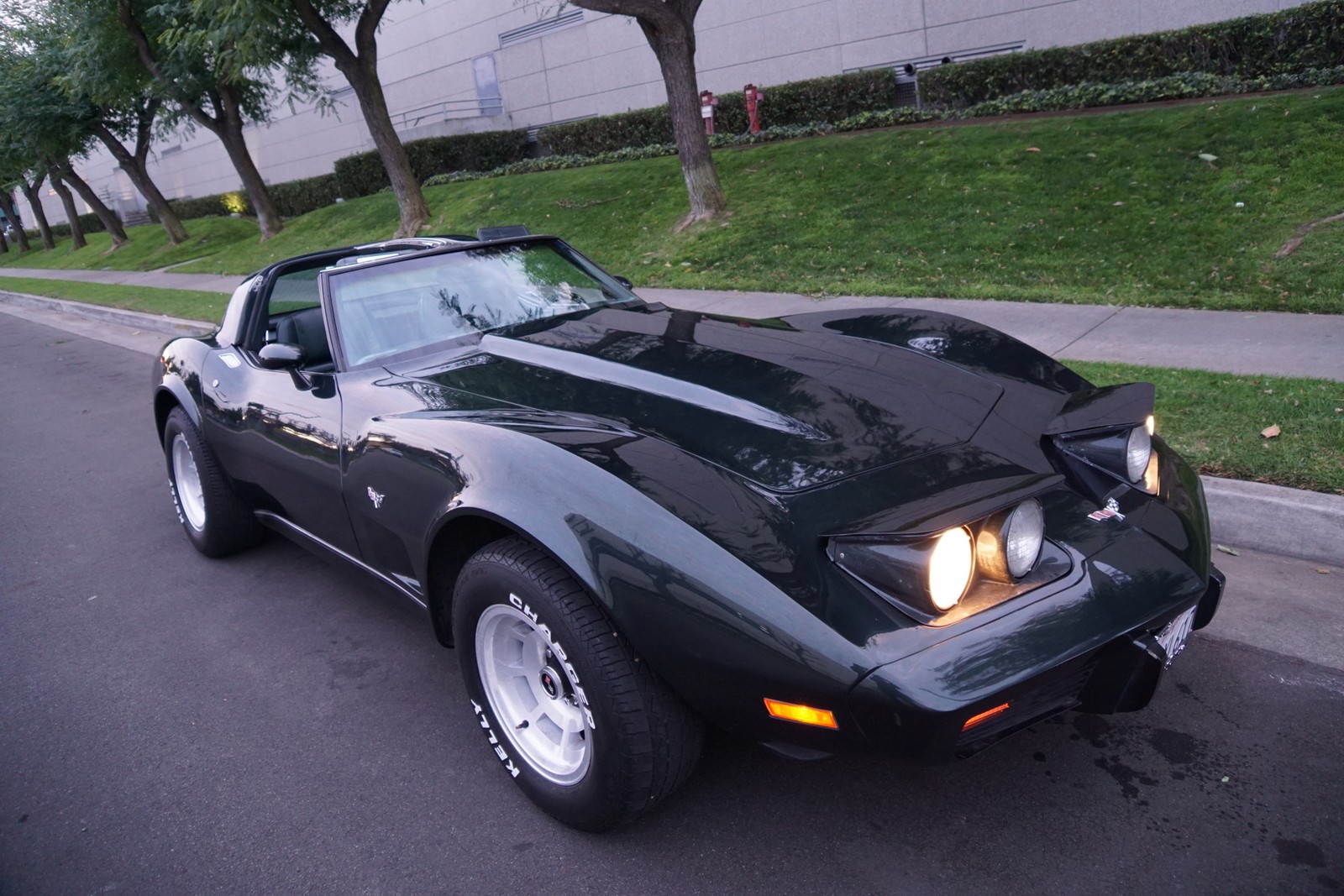 Chevrolet-Corvette-350-V8-Coupe-1979-6