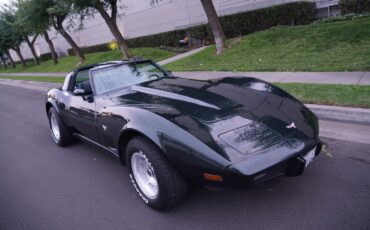 Chevrolet-Corvette-350-V8-Coupe-1979-7