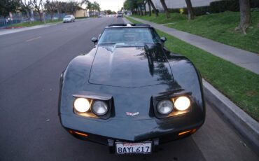 Chevrolet-Corvette-350-V8-Coupe-1979-8