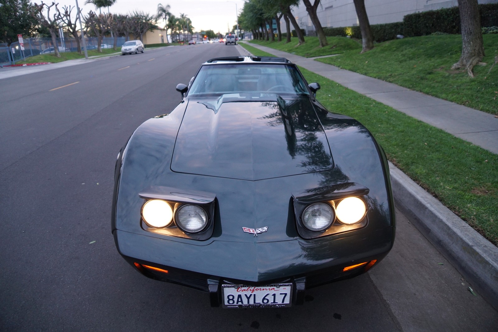 Chevrolet-Corvette-350-V8-Coupe-1979-8
