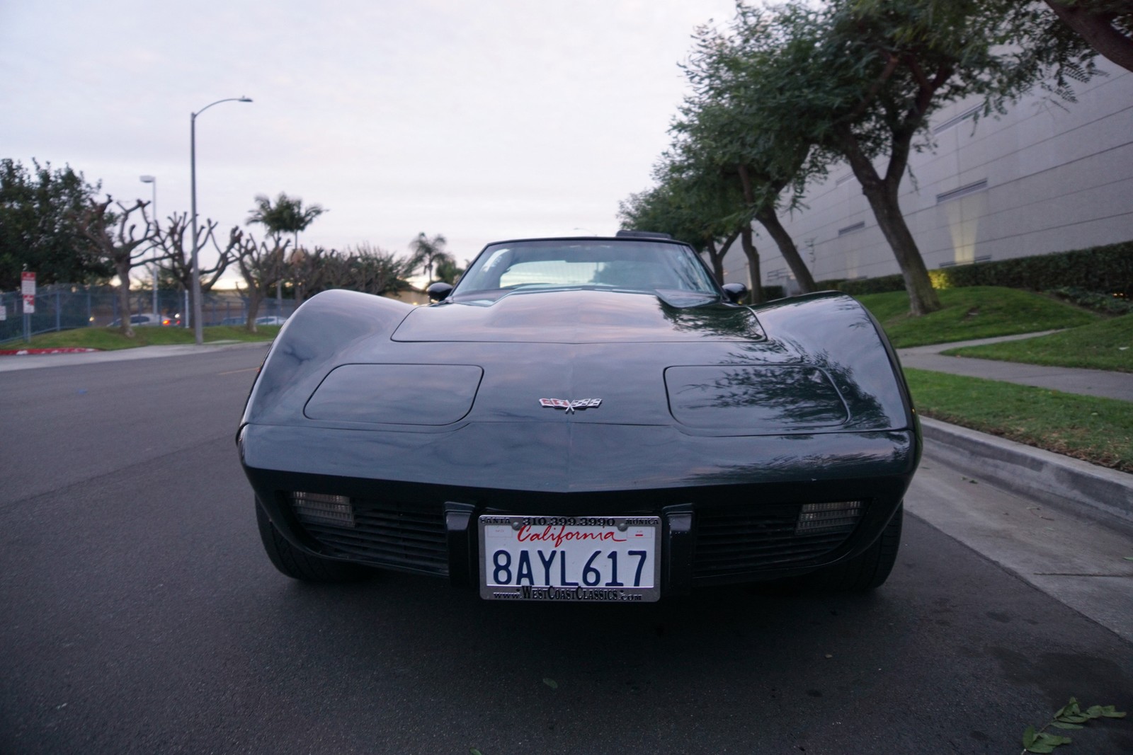 Chevrolet-Corvette-350-V8-Coupe-1979-9
