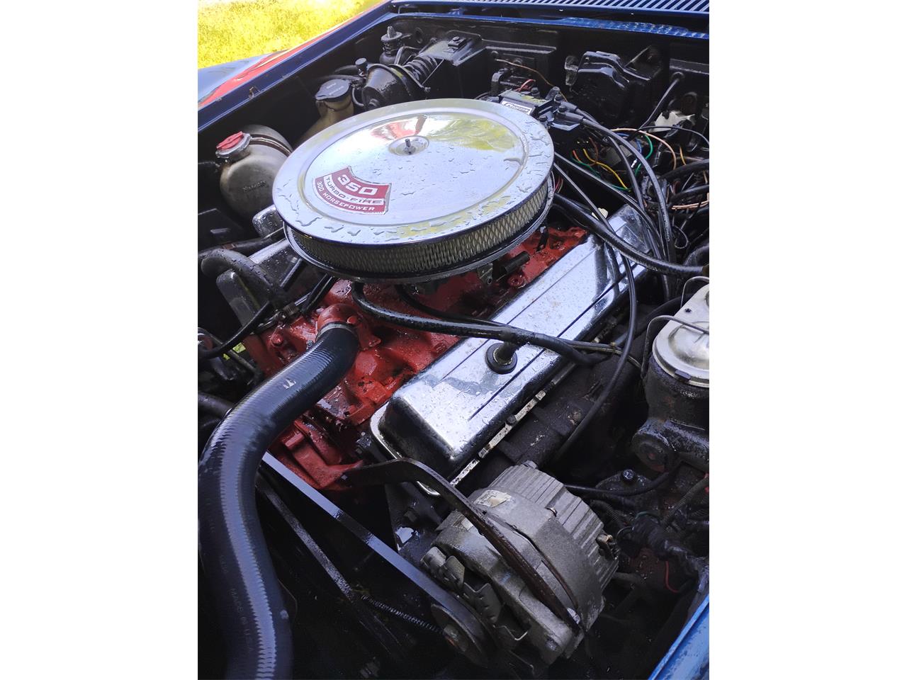 Chevrolet-Corvette-c3-collectors-edition-1972-Blue-Blue-9