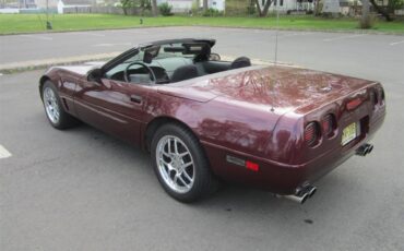 Chevrolet-Corvette-c4-1995-Black-RoseOEM-Stock-black-5