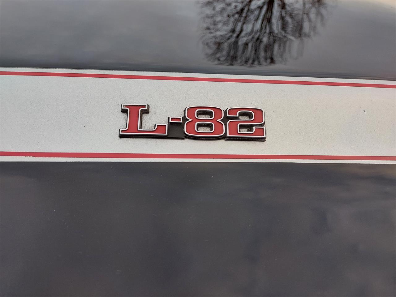 Chevrolet-Corvette-indy-500-pace-car-1978-blacksilver-silver-5
