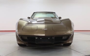 Chevrolet-Corvette-l82-1979-brown-10