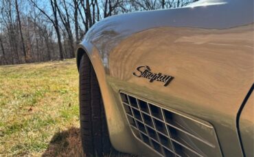 Chevrolet-Corvette-stingray-1971-Steel-Cities-Grey-Black-10