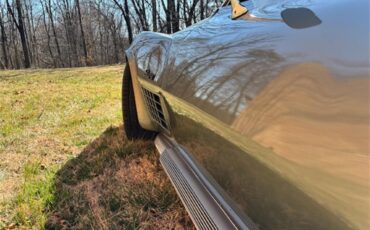 Chevrolet-Corvette-stingray-1971-Steel-Cities-Grey-Black-50