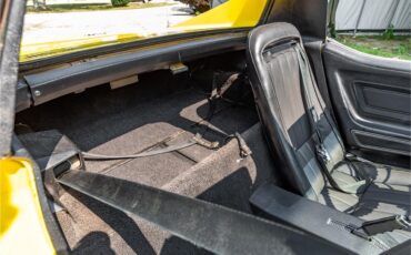 Chevrolet-Corvette-stingray-1971-Sunflower-Yellow-Black-57