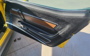 Chevrolet-Corvette-stingray-1973-Yellow-Black-15
