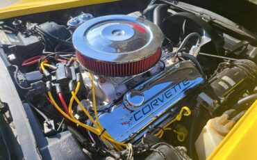 Chevrolet-Corvette-stingray-1973-Yellow-Black-31