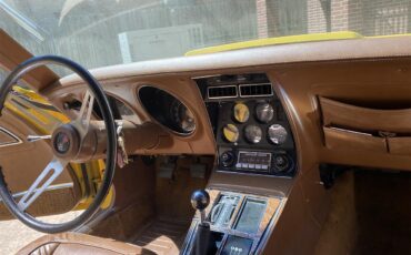 Chevrolet-Corvette-stingray-1973-Yellow-Dark-Saddle-Leather-15
