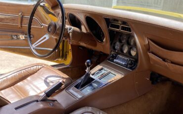 Chevrolet-Corvette-stingray-1973-Yellow-Dark-Saddle-Leather-16