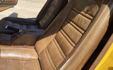 Chevrolet-Corvette-stingray-1973-Yellow-Dark-Saddle-Leather-5
