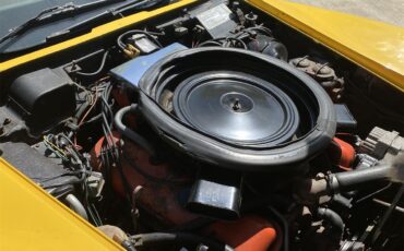 Chevrolet-Corvette-stingray-1973-Yellow-Dark-Saddle-Leather-7