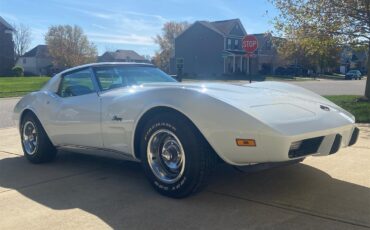 Chevrolet-Corvette-stingray-1975-Classic-White-Silver-11