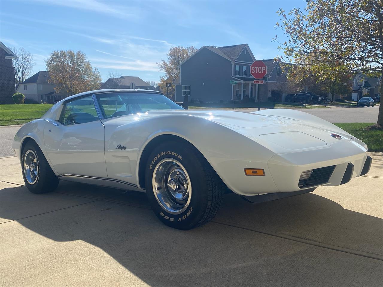 Chevrolet-Corvette-stingray-1975-Classic-White-Silver-11