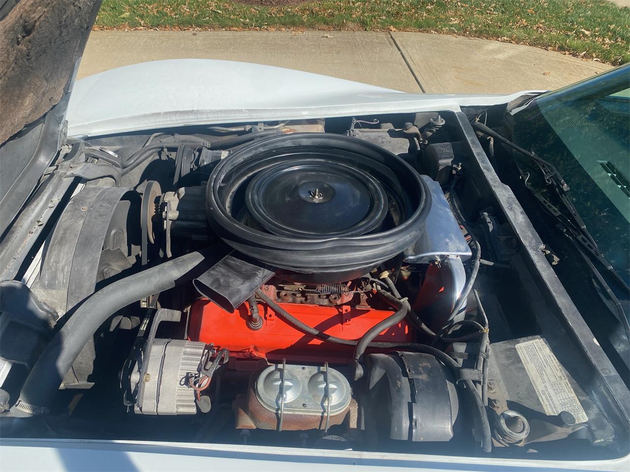 Chevrolet-Corvette-stingray-1975-Classic-White-Silver-8