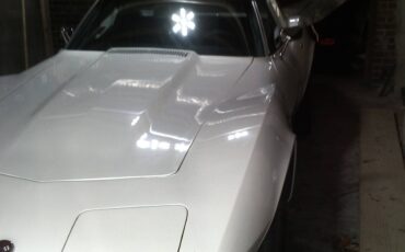 Chevrolet-Corvette-stingray-1976-1