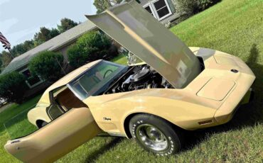 Chevrolet-Corvette-stingray-1976-Beige-Beige-1